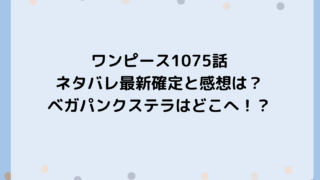 ワンピース1075話ネタバレ最新確定と感想は?ベガパンクステラはどこへ!?