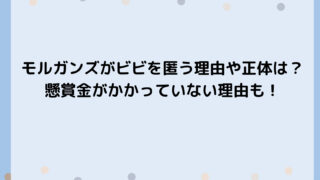 モルガンズがビビを匿う理由や正体は？懸賞金がかかっていない理由も！