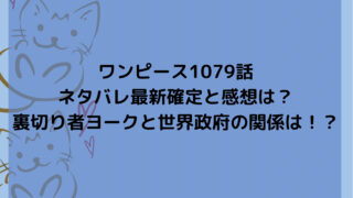 ワンピース1079話ネタバレ最新確定と感想は？裏切り者ヨークと世界政府の関係は！？