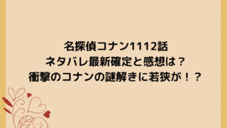 名探偵コナン1112話ネタバレ最新確定と感想は？衝撃のコナンの謎解きに若狭が！？