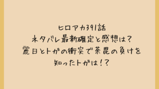 ヒロアカ391話ネタバレ最新確定と感想は？麗日とトガの衝突で荼毘の負けを知ったトガは！？