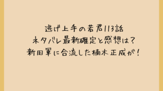 逃げ上手の若君113話ネタバレ最新確定と感想は？新田軍に合流した楠木正成が！