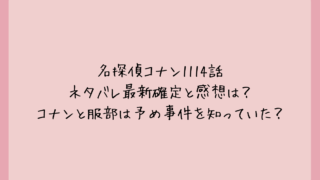 名探偵コナン1114話ネタバレ最新確定と感想は？コナンと服部は予め事件を知っていた？